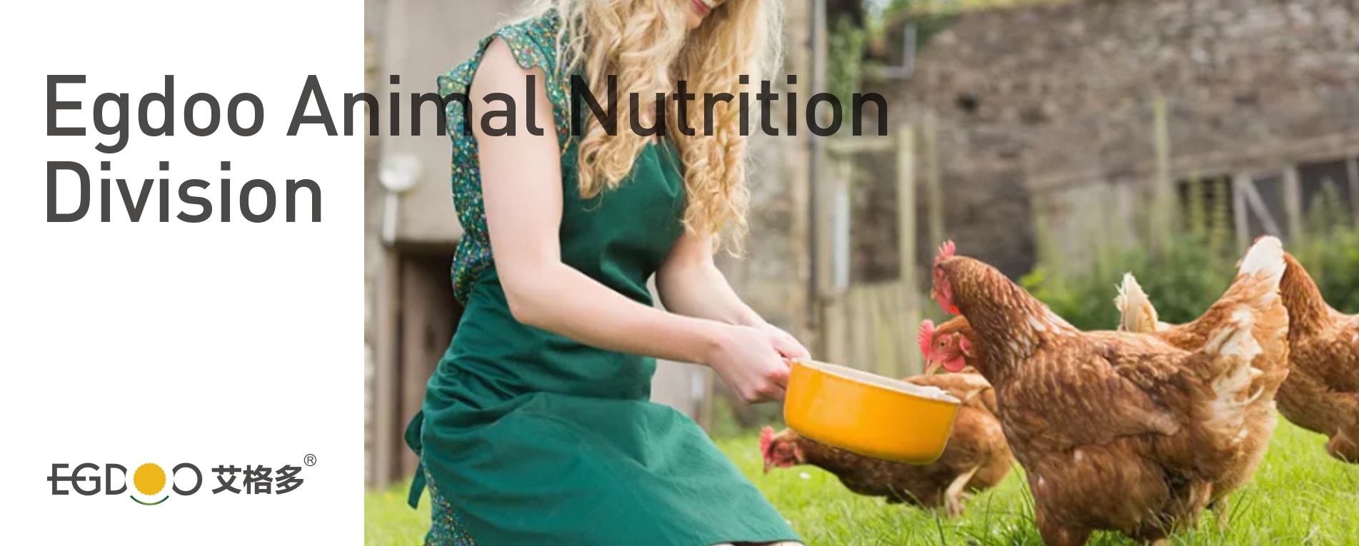 艾格多科技有限公司